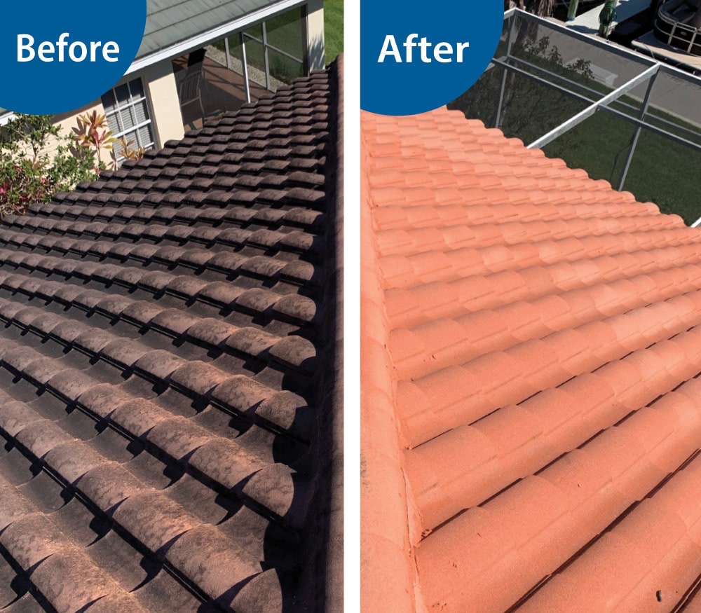 Before and after soft wash roof cleaning on asphalt shingle roof in Melbourne, FL, showing dramatic removal of black streaks and organic growth.